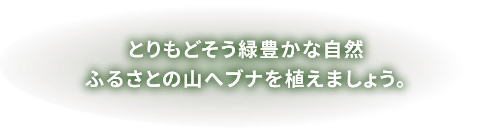 とりもどそう緑豊かな自然ふるさとの山へブナを植えましょう