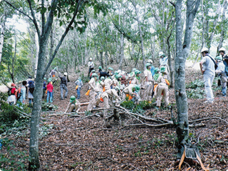 みどりの少年団の森林整備体験