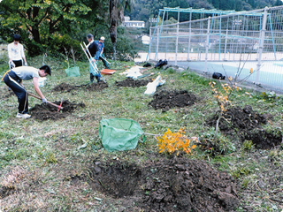 小代小学校のブナの植樹地