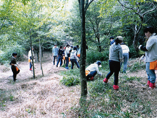 鶴甲の森・育樹作業